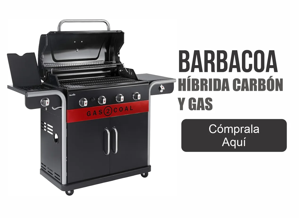 BARBACOA HIBRIDA CARBON Y GAS BARBACOA HIBRIDA CARBON Y GAS