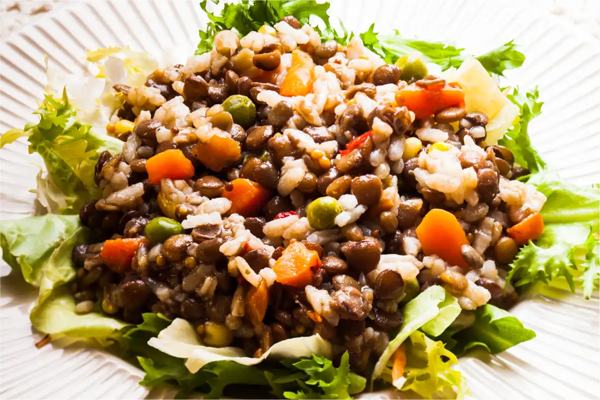 ensalada de lentejas para barbacoas ensalada de lentejas para barbacoas